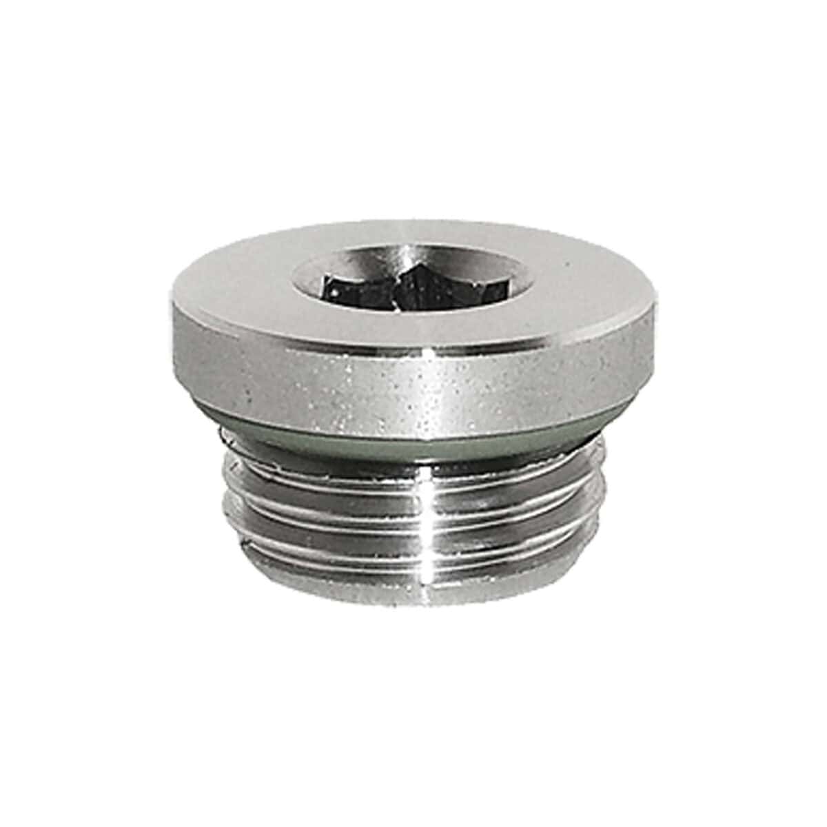 RX-46 Hex plug, O-ring
